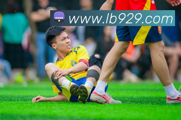 立博·英国 ladbrokes 集团官方网站平台生态图